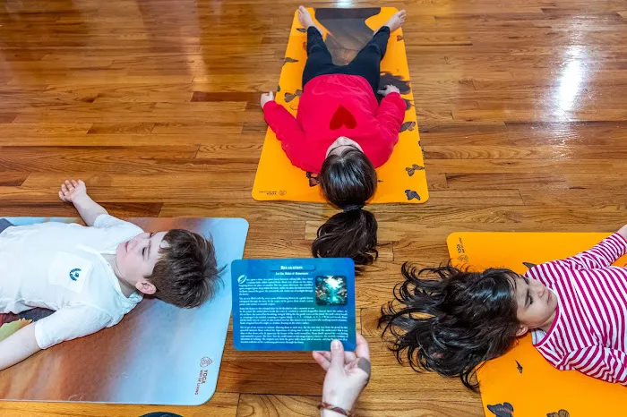 Yoga Way of Living Picture 4
