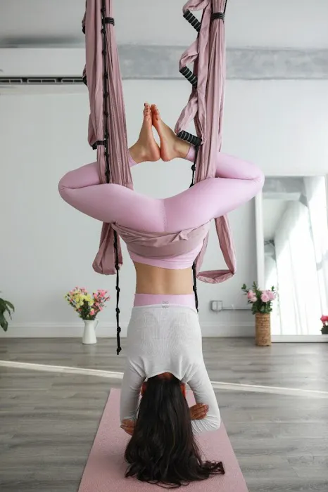 FlyFaceYogaNYC Picture 8