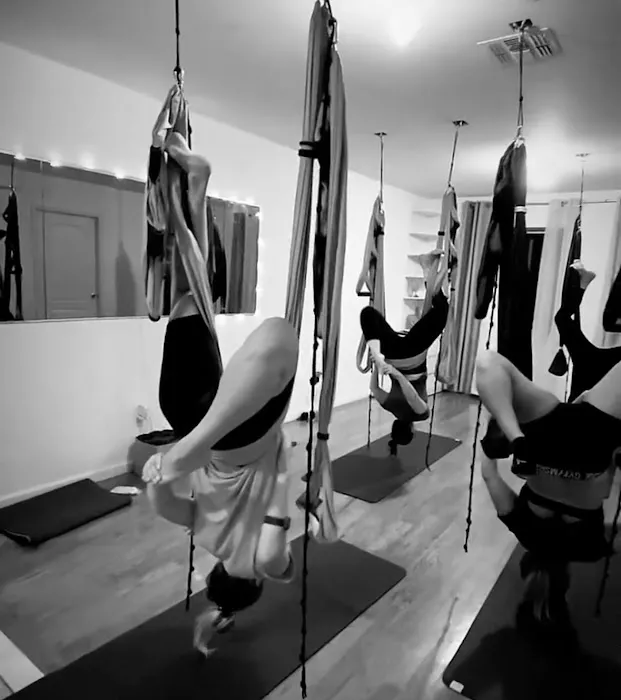 FlyFaceYogaNYC Picture 4