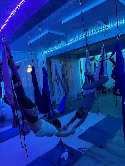 FlyFaceYogaNYC Picture 1