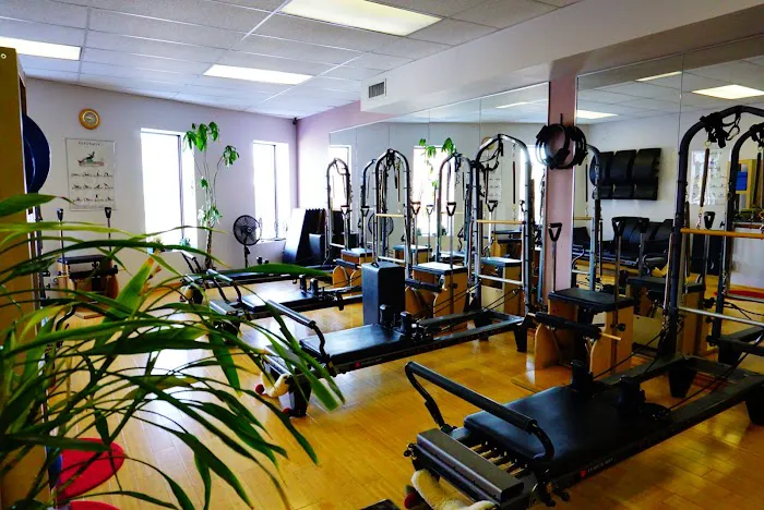 Helen's Intensive Pilates Kings Highway location Picture 5