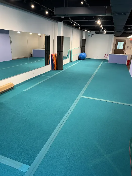 TUMBLELAB Picture 6