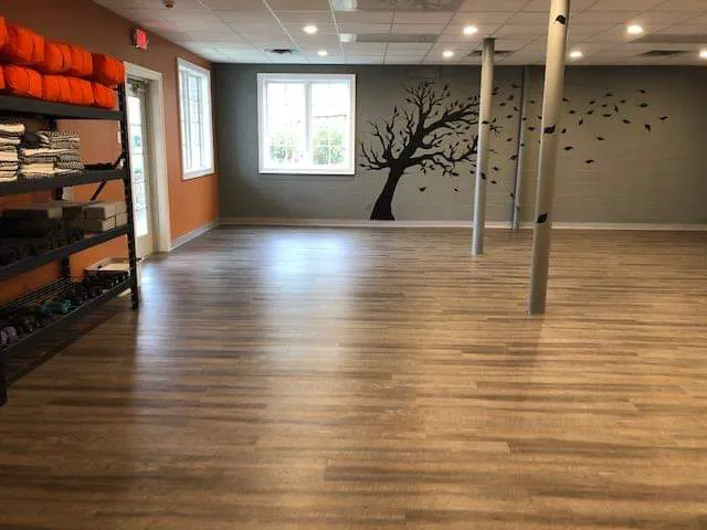 Phoenix Fitness and Yoga Picture 2