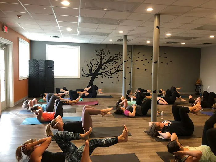 Phoenix Fitness and Yoga Picture 4