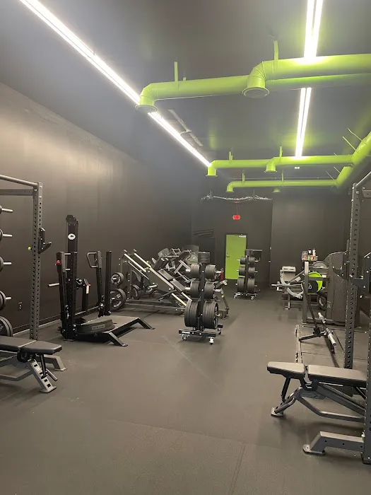 Optimal Prime Fitness Picture 7