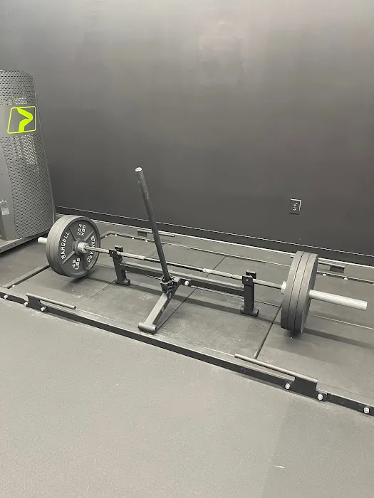 Optimal Prime Fitness Picture 8