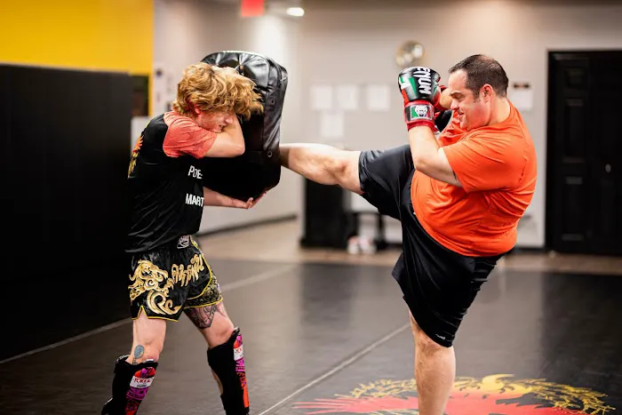 Phoenix Fitness & Martial Arts Picture 4