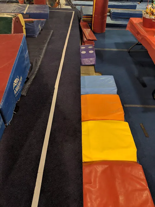 All American Gymnastics Picture 8