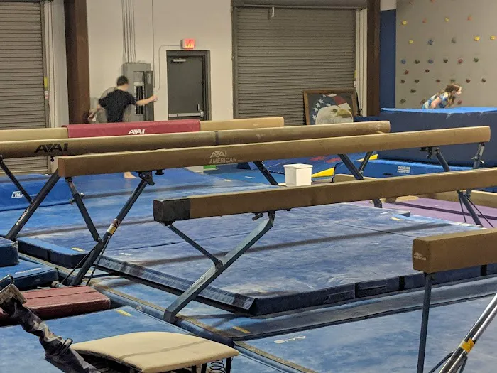 All American Gymnastics Picture 10