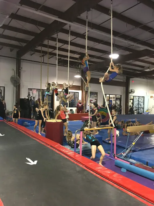 All American Gymnastics Picture 2