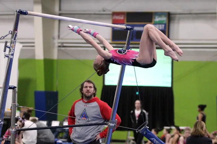 All American Gymnastics Picture 1
