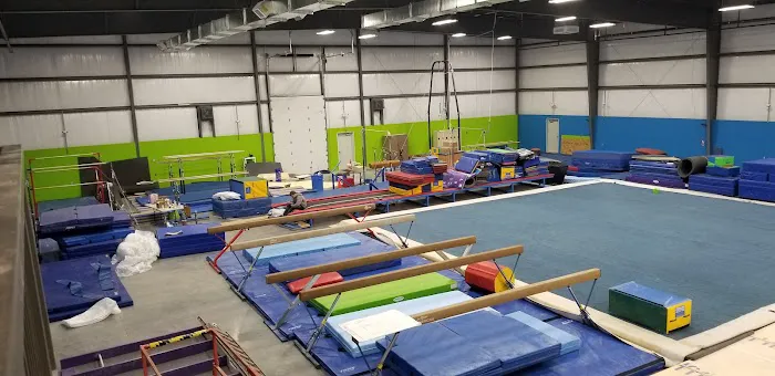 Above the Bar Gymnastics Academy Picture 5