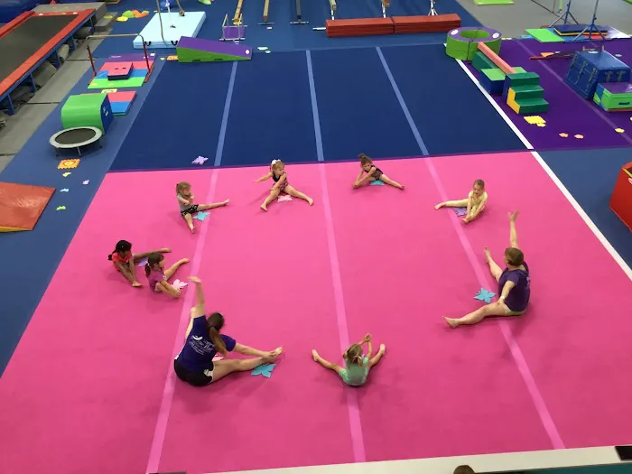 Above the Bar Gymnastics Academy Picture 8