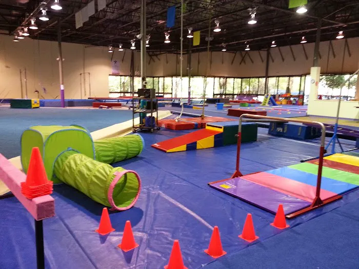 Above the Bar Gymnastics Academy Picture 9