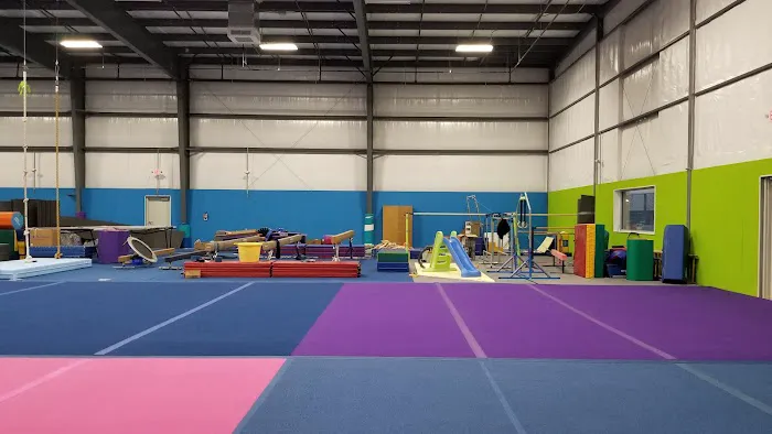 Above the Bar Gymnastics Academy Picture 2