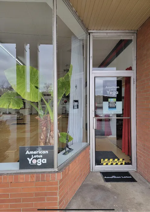 American Lotus Yoga for Everyone Picture 1