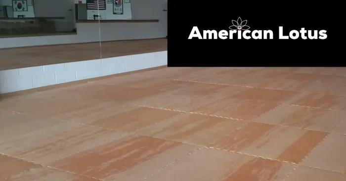 American Lotus Yoga for Everyone Picture 3