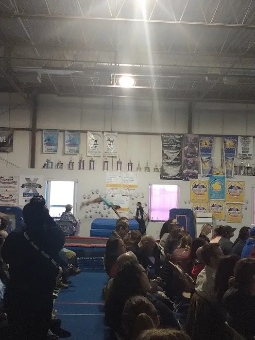 All-Star Athletics & Gymnastics (ASA) Picture 5