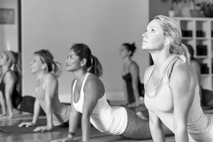 Pure Power Yoga Studio Picture 5