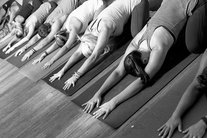 Pure Power Yoga Studio Picture 4