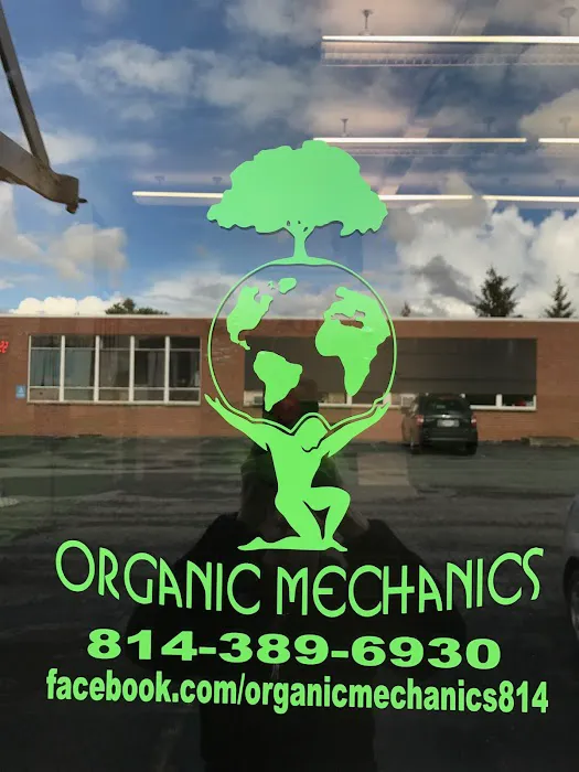 Organic Mechanics Picture 4