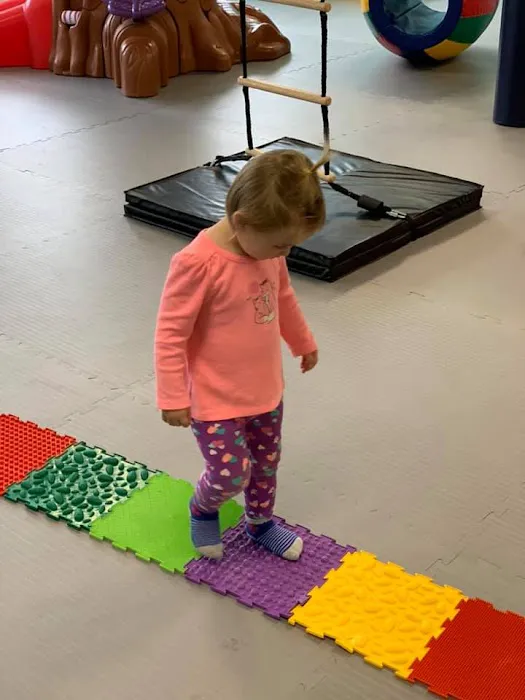 Chautauqua Children's Gym. Inc Picture 9