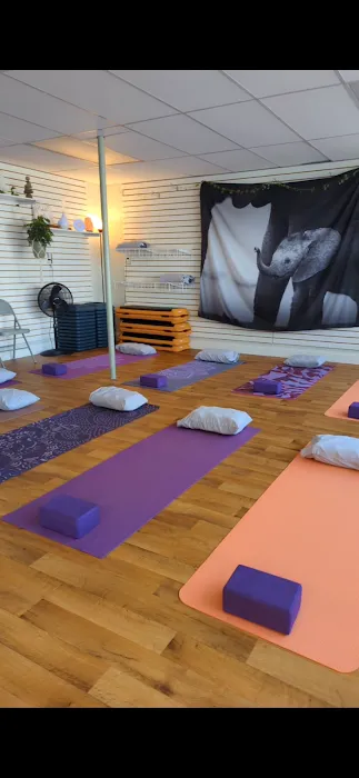 Machias Yoga and Wellness Picture 4