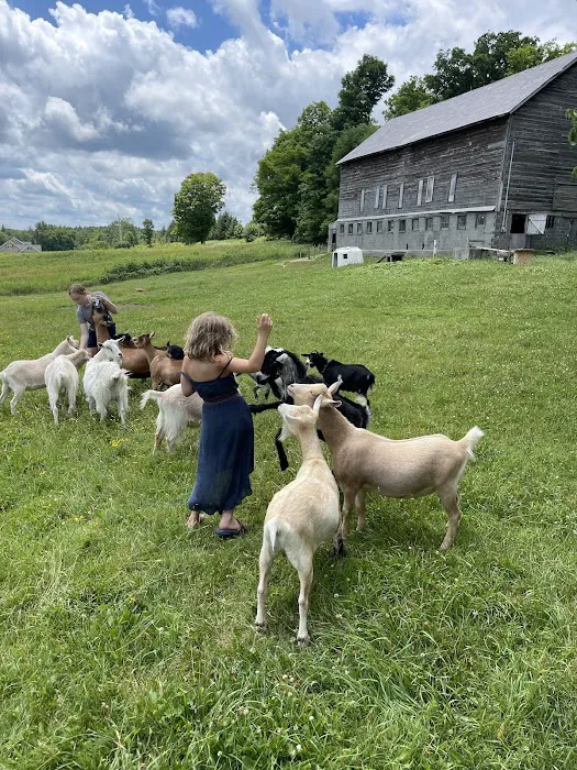 Flying Goat Yoga Picture 3