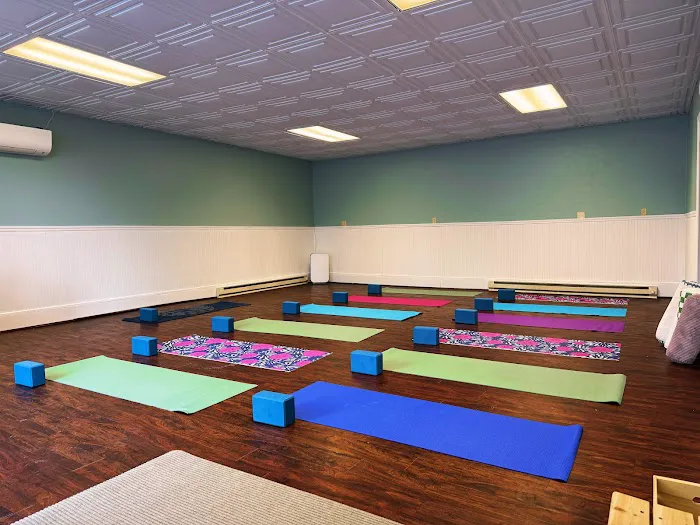 Sol- Luna Yoga & Movement Studio Picture 3