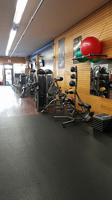 Flex Fitness Picture 2