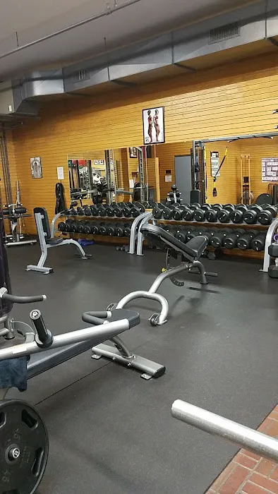 Flex Fitness Picture 8
