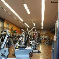 Flex Fitness ico