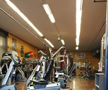 Flex Fitness