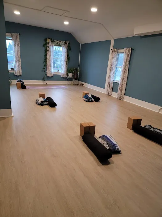 Branches of Growth Mental Health Counseling/Yoga Studio Picture 5