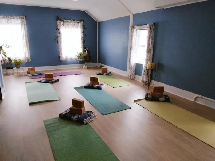 Branches of Growth Mental Health Counseling/Yoga Studio Picture 7