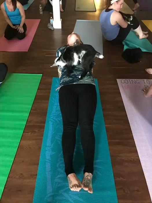 Blue Lotus Yoga Picture 7