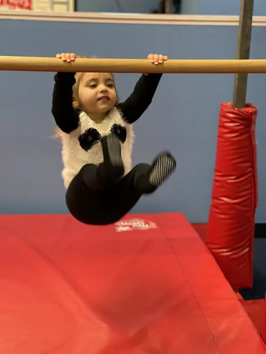 My Gym Children's Fitness Center Picture 10