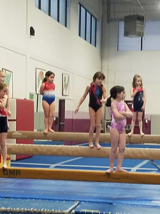 Arena Gymnastics Inc Picture 3