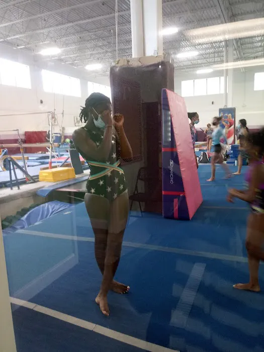 Arena Gymnastics Inc Picture 5