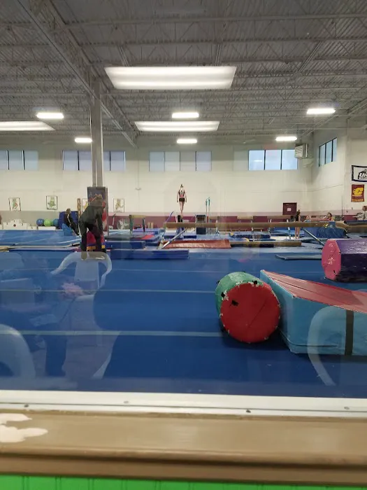 Arena Gymnastics Inc Picture 1