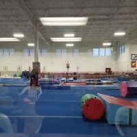 Arena Gymnastics Inc ico