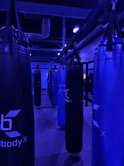SoundBodyX Picture 1