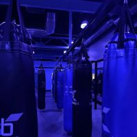 SoundBodyX ico