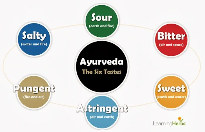 Active Ayurveda and Yoga LLC. Picture 2