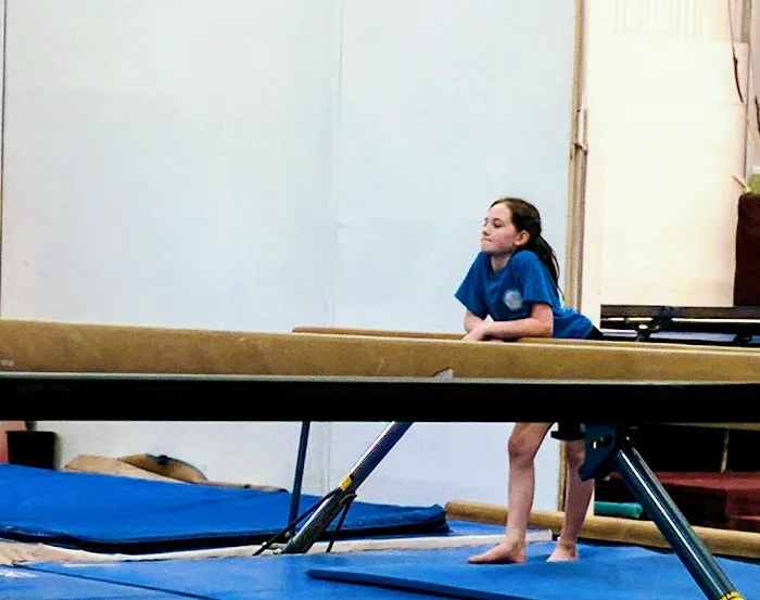 Farmington Valley Gymnastics & More, LLC Picture 1