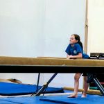 Farmington Valley Gymnastics & More, LLC