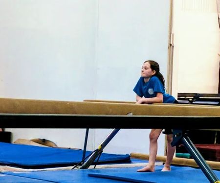 Farmington Valley Gymnastics & More, LLC