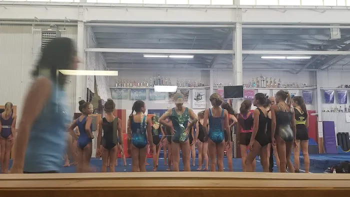Farmington Valley Gymnastics & More, LLC Picture 3