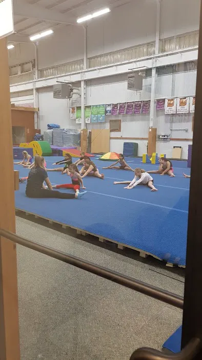 Farmington Valley Gymnastics & More, LLC Picture 2