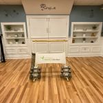 Tracey Staehle Fitness LLC